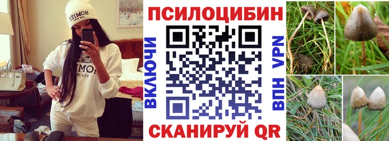 где можно купить наркотик  Холмск  Галлюциногенные грибы Psilocybe 